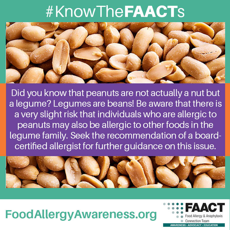 Peanuts are Legumes: Allergy Fact